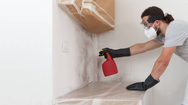 Professional Mold Removal technician working in Oakdale, NY